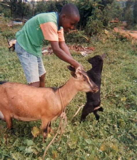 buy a goat for a family|Buy a Goat .